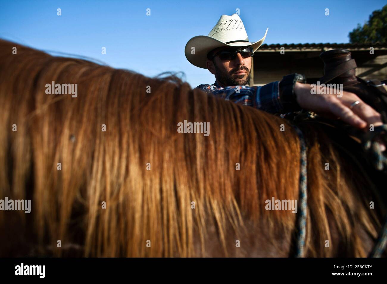 Alon, an Israeli cowboy, unloads his 