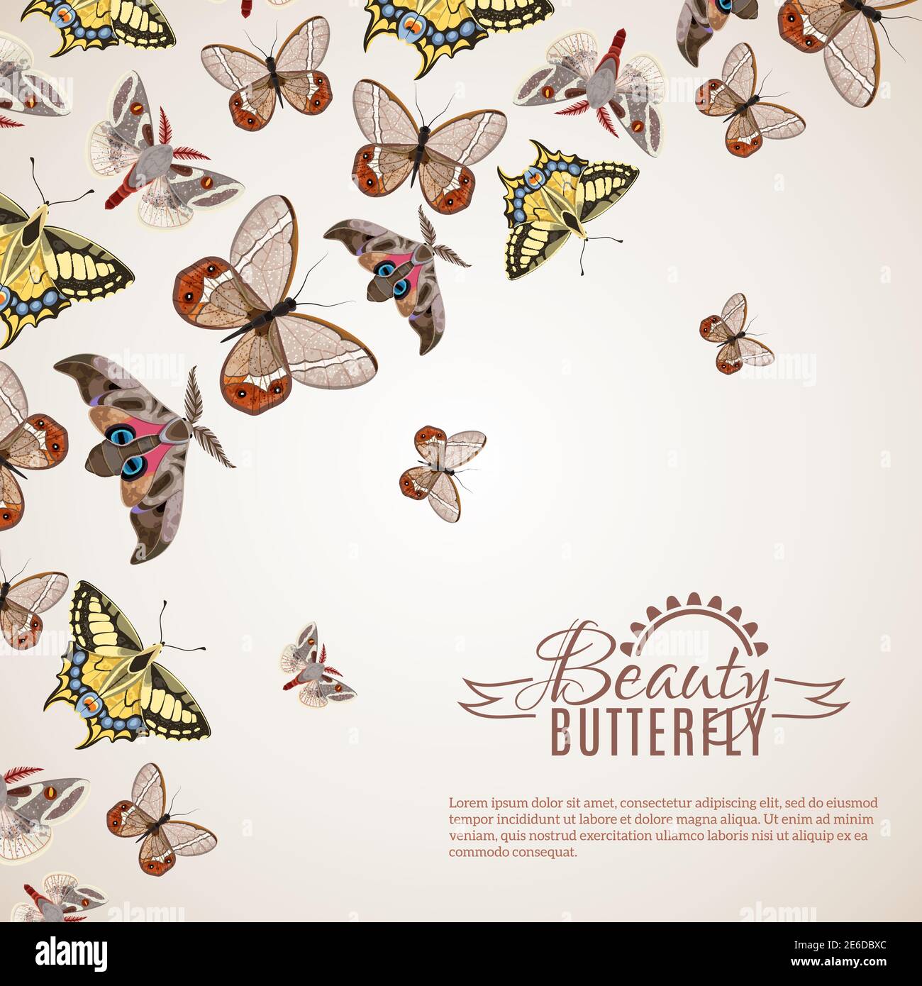 Magnifique arrière-plan décoratif de papillon avec différents papillons de nuit et de machaons vecteur illustration Illustration de Vecteur