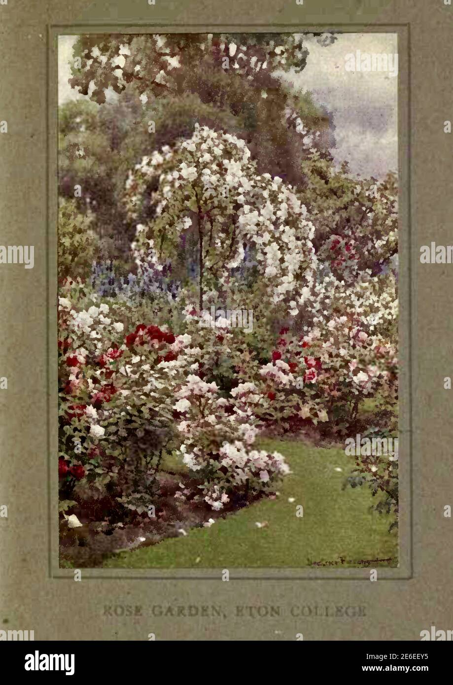 Peinture Beatrice Parsons intitulée The Rose Garden - Eton College Banque D'Images