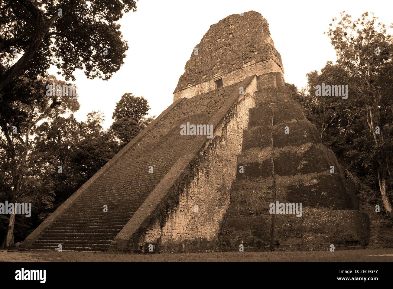 Temple maya à Tikal National Park Banque D'Images