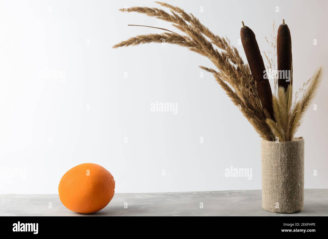 Une orange sur une table grise texturée contre un mur blanc avec un bouquet d'automne d'herbes séchées et de roseaux. Mise au point sélective. Banque D'Images