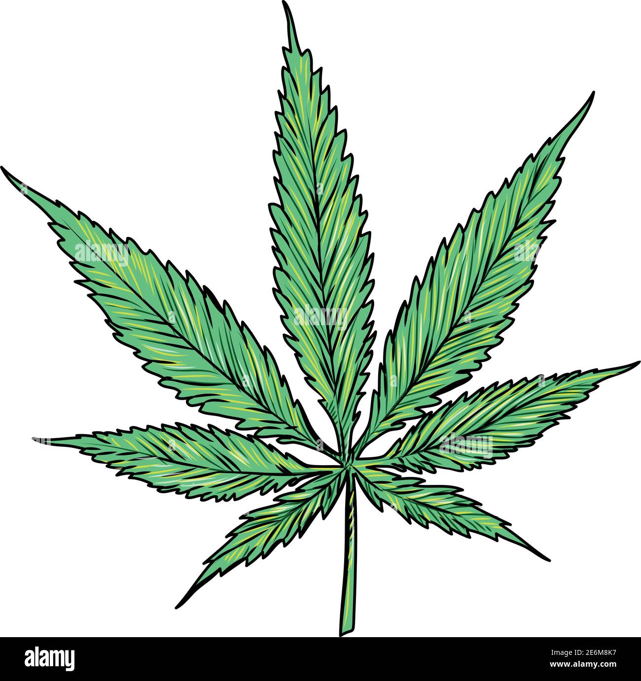 marijuana tirée à la main isolée sur fond blanc Illustration de Vecteur