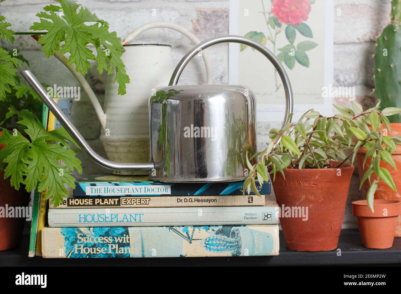 Arrosage des plantes d'intérieur sur une étagère avec des livres de jardinage. ROYAUME-UNI Banque D'Images