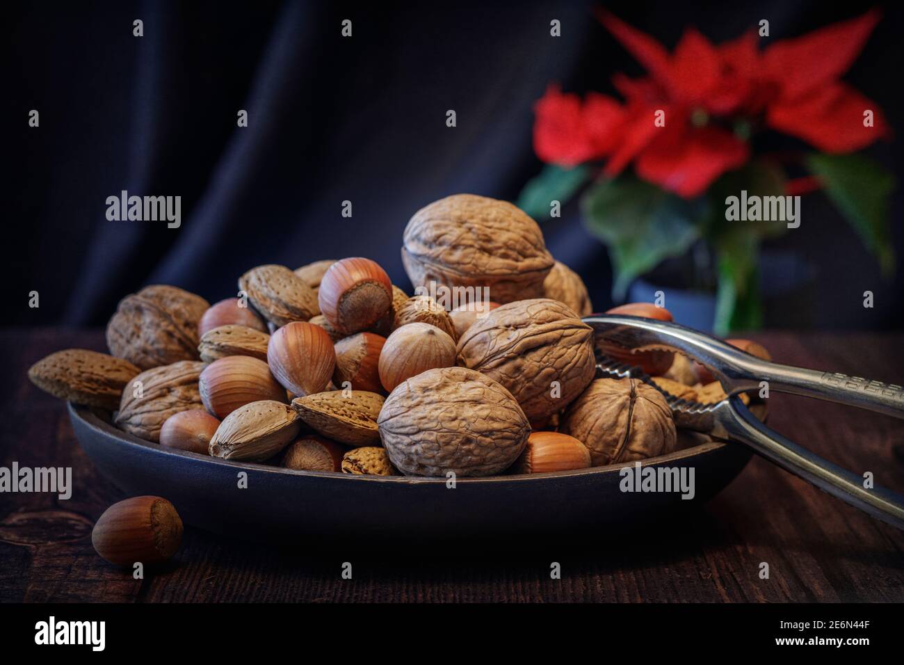Mélange de noix non décortiquées et de Poinsettia, saison encore la vie Banque D'Images