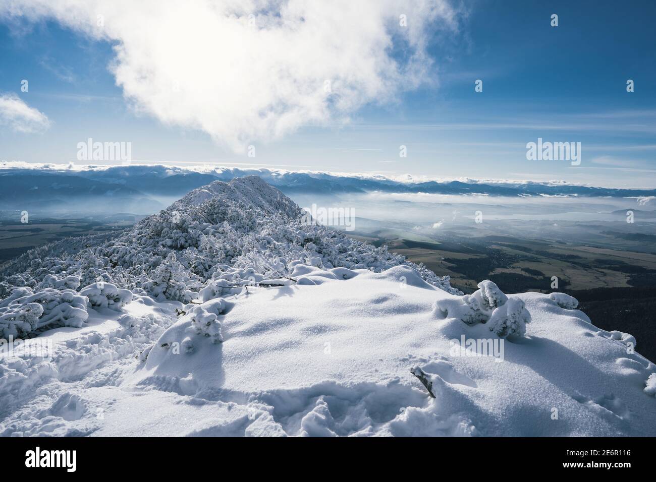 Magnifique montagne. Arrière-plan d'hiver incroyable. Matin gelé en forêt. Pins enneigés sous la lumière du soleil. Vue panoramique Banque D'Images