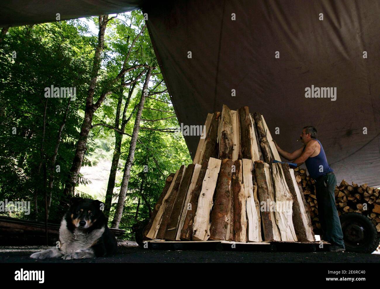 Swiss farmer and charcoal maker Markus Wicki arranges a pile of tree trunks  which will be used to make charcoal, near the remote village of Romoos,  central Switzerland in this June 12,