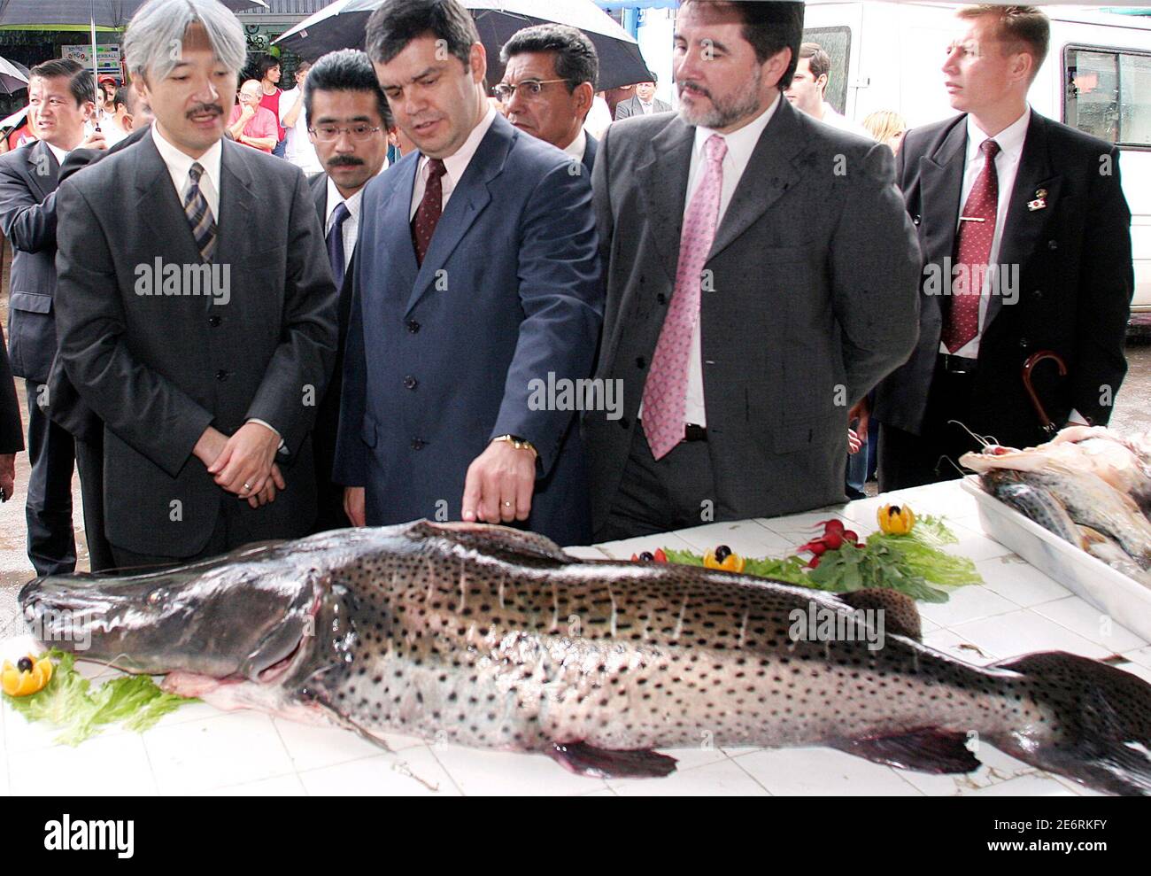 Japan's Prince Akishino (L) observes a giant river catfish known as a  surubi, during a visit with Paraguayan diplomats to the Abasto food market  in Asuncion, on the third day of his