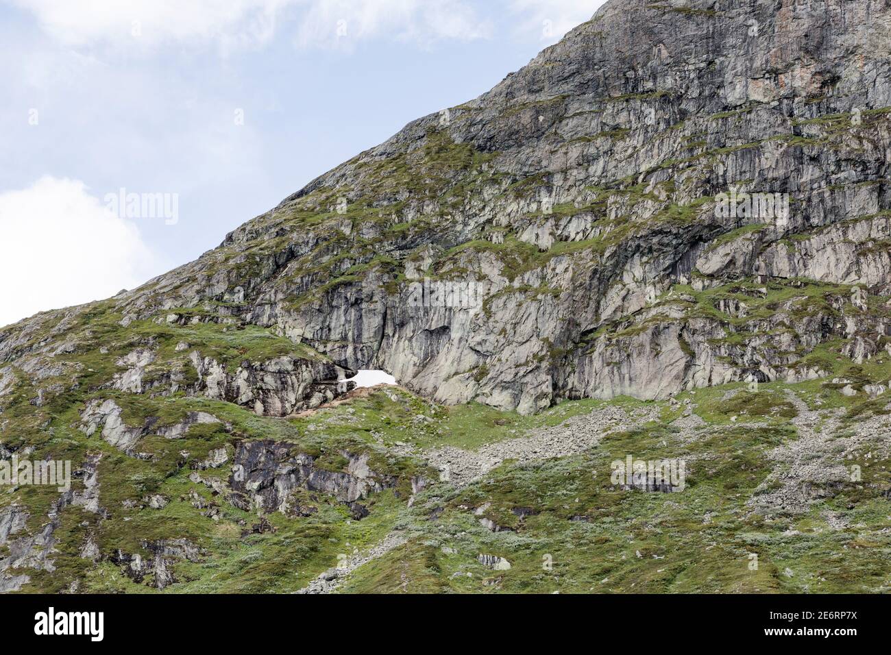 Détail de la montagne surcultivée de Synshorn dans le parc national de Jotunheimen En Norvège Banque D'Images
