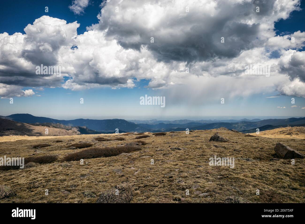 Paysage dans la nature sauvage de Mount Evans, Colorado Banque D'Images