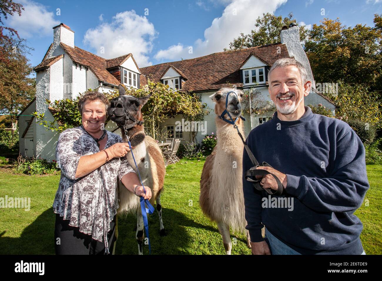 Lyn et Caroline Jenkins, qui ont créé des enclos pour leurs Llamas, verger et potagers dans le domaine de leur chalet à Great Missenden, Royaume-Uni Banque D'Images