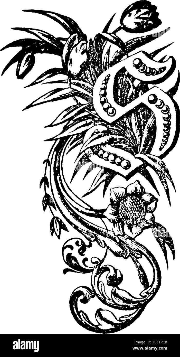 Lettre majuscule décorative S. gravure ancienne ou illustration de dessin au trait. Décoration florale. Illustration de Vecteur