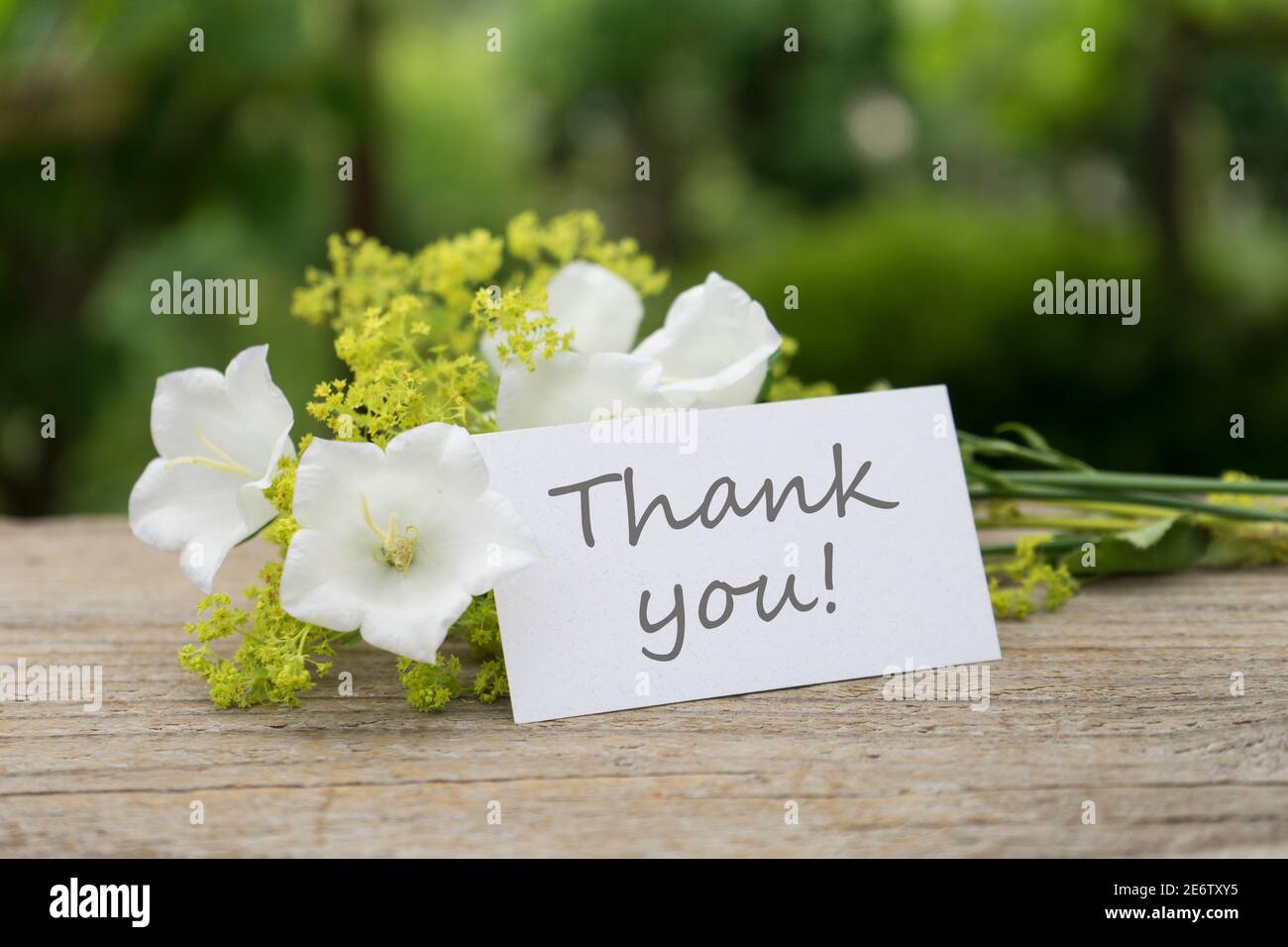 Carte de vœux avec fleurs blanches et texte en anglais vous Banque D'Images
