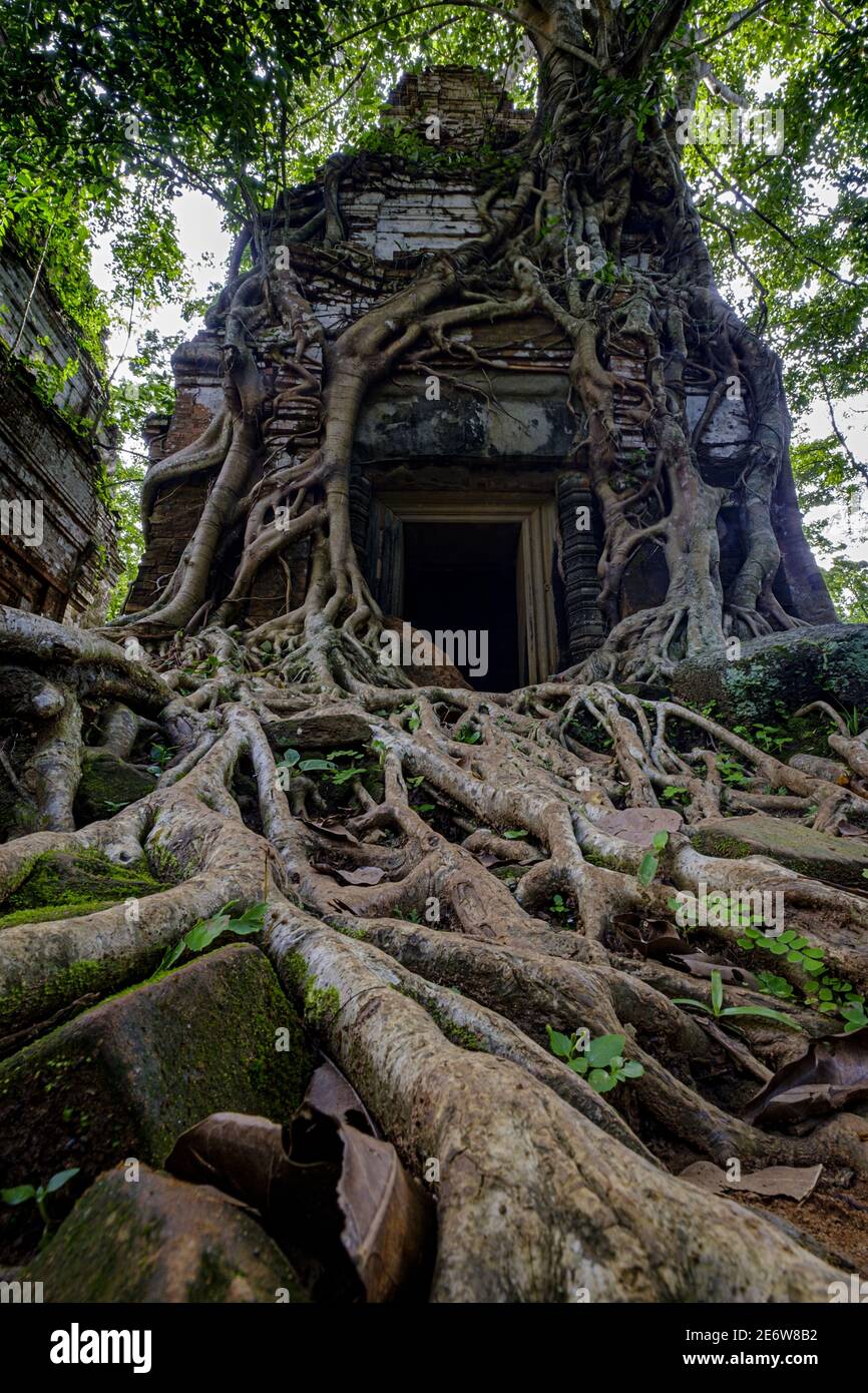 Cambodge, Koh Ker, ancienne capitale khmère au X siècle sous le roi Jayavarman IV, Prasat Pram ou temple Prasat Bram Banque D'Images