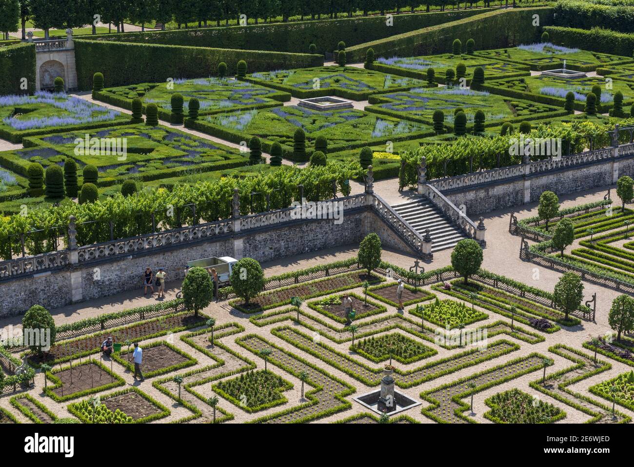 France, Indre et Loire, Villandry, Vallée de la Loire classée patrimoine mondial par l'UNESCO, Châteaux de la Loire, jardins et château de Villandry, jardin potager décoratif en premier plan, derrière le jardin du soleil Banque D'Images