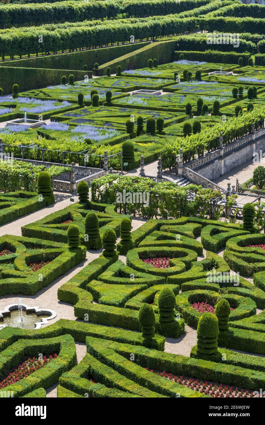 France, Indre et Loire, Villandry, Vallée de la Loire classée au patrimoine mondial par l'UNESCO, Châteaux de la Loire, jardins et château de Villandry, salons d'ornement en premier plan, derrière le jardin du soleil Banque D'Images