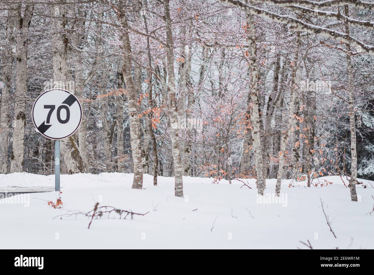 Magnifique paysage d'hiver avec beaucoup d'arbres sans feuilles et un panneau de signalisation routière de limite de vitesse de 70 mph Banque D'Images