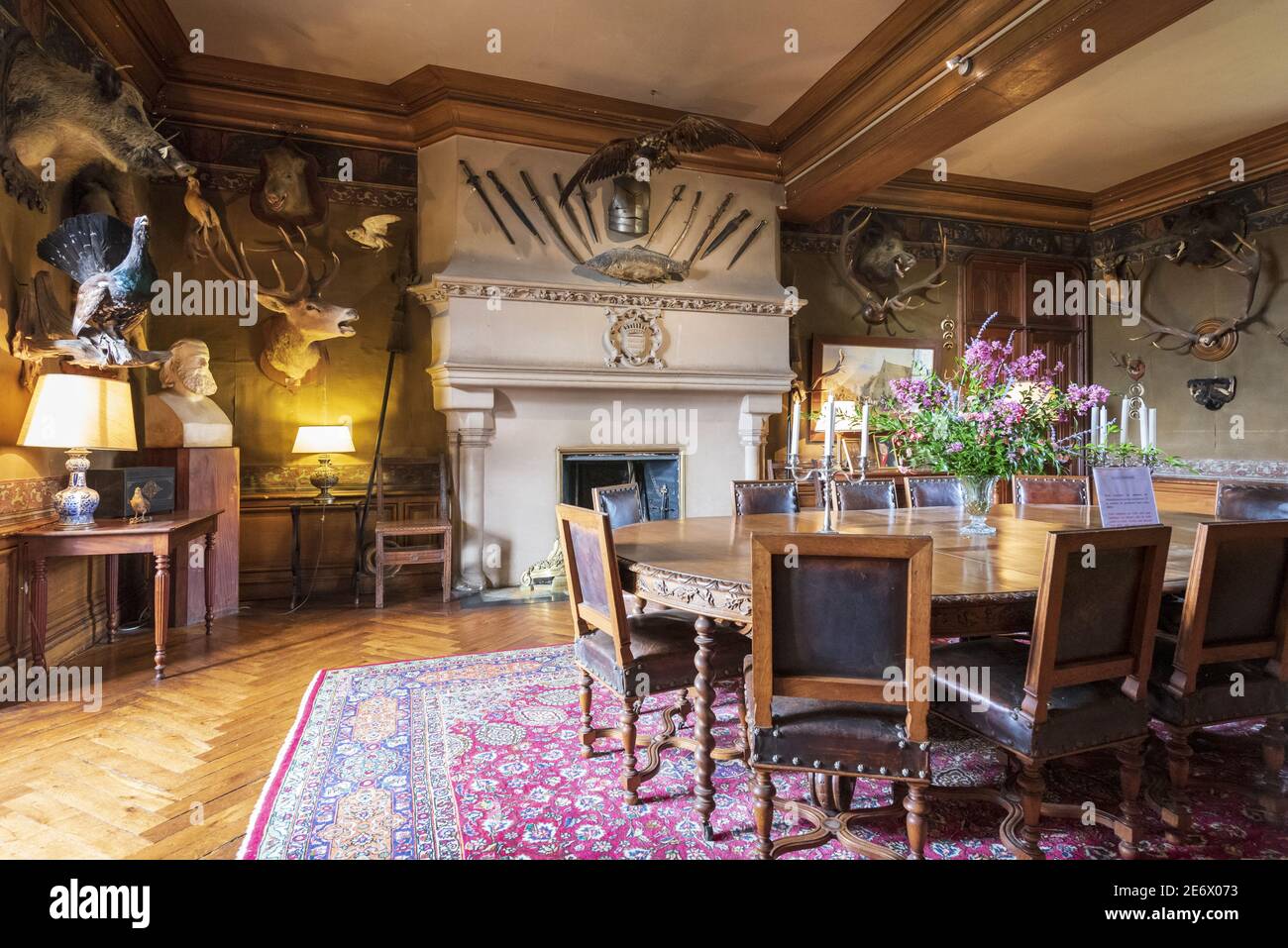 France, Indre et Loire, Vallée de la Loire, Montresor, étiqueté les plus Beaux villages de France (les plus beaux villages de France), intérieur du château de Montresor, salle à manger dans le style du second empire Banque D'Images