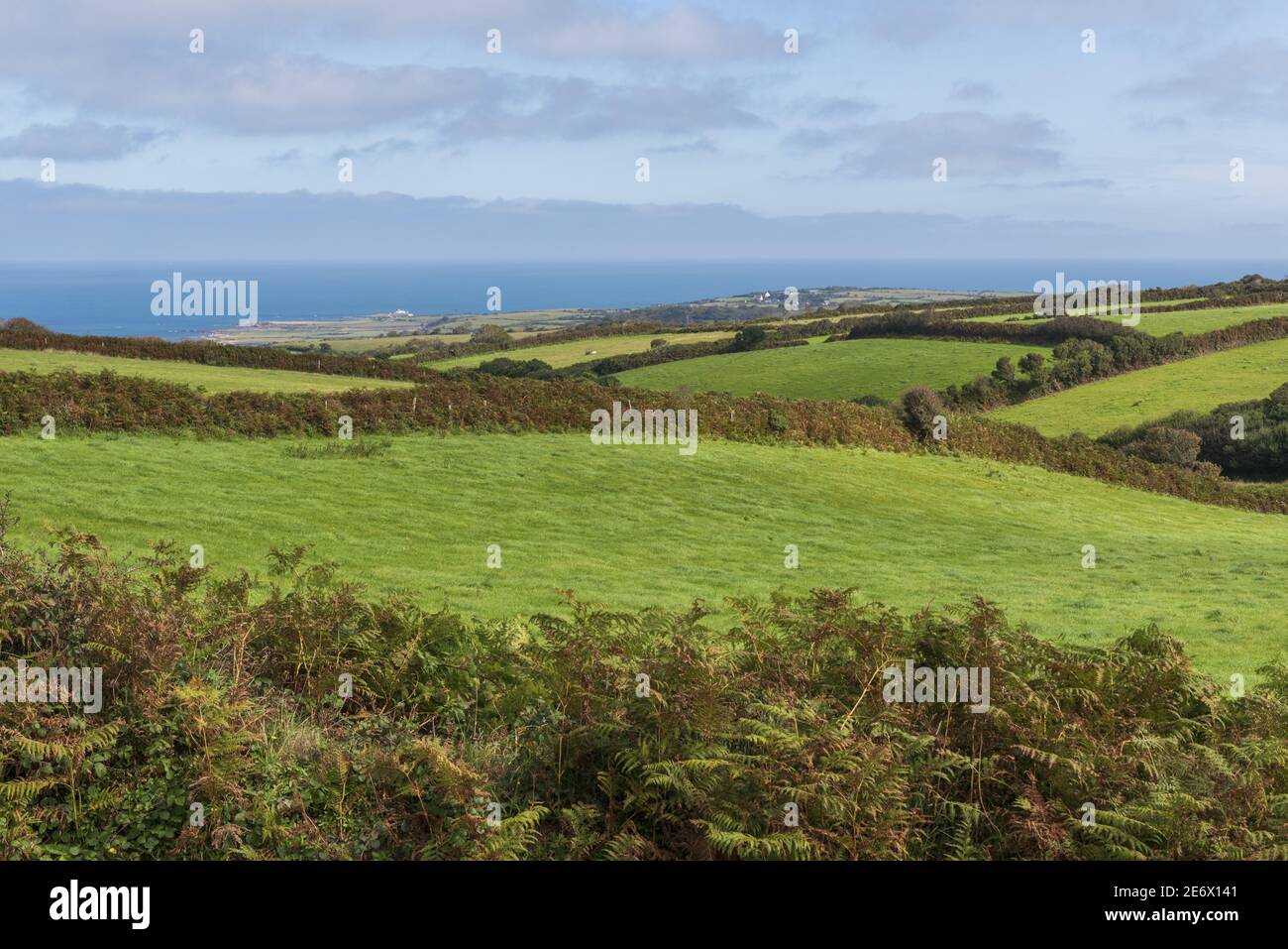 France, Manche, Cotentin, Cap de la Haye, Omonville la petite, bocage paysage Banque D'Images