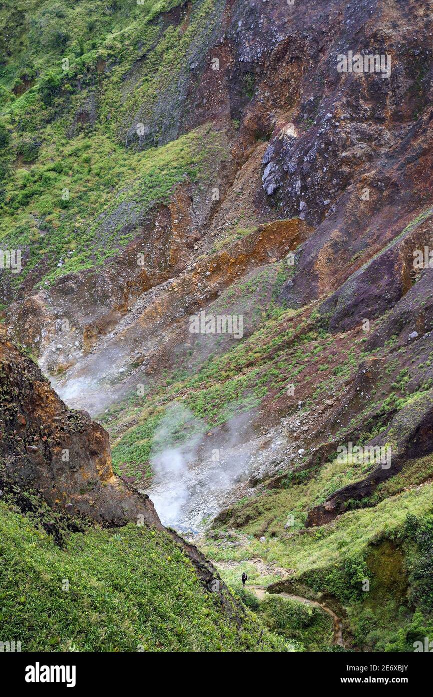 Caraïbes, Dominique Island, Château Bruce, Morne trois Pitons Parc national classé au patrimoine mondial de l'UNESCO, Vallée de la Désolation avec des fumaroles et des sources chaudes, randonnée sur le sentier du lac Boiling Banque D'Images