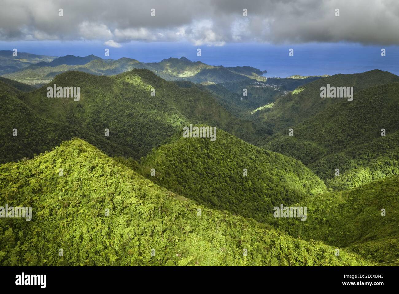 Les Caraïbes, l'île de la Dominique, le parc national Morne trois Pitons classé au patrimoine mondial par l'UNESCO, la forêt tropicale au pied de Morne trois Piton et la côte est en arrière-plan (vue aérienne) Banque D'Images