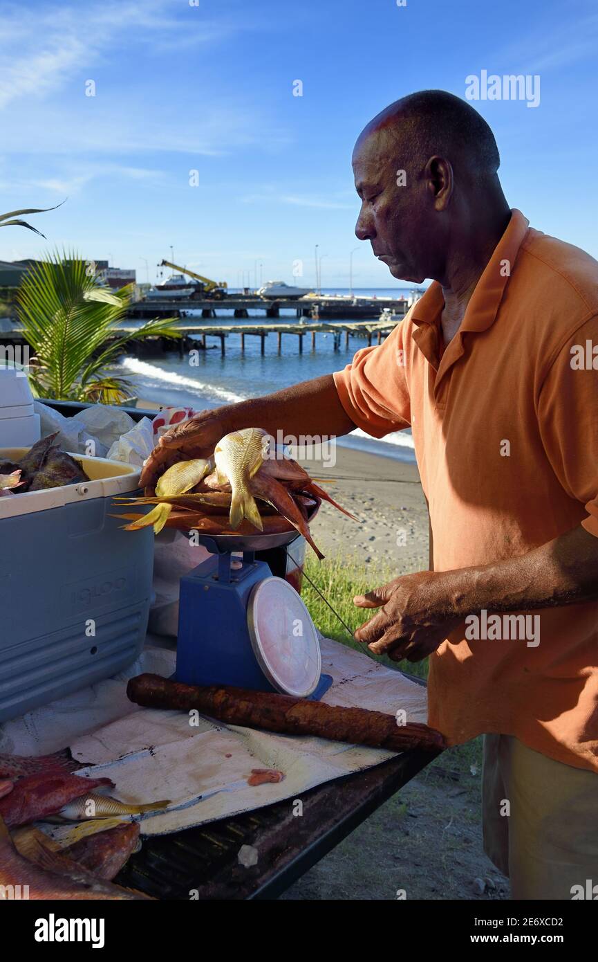 Caraïbes, Ile de la Dominique, la capitale Roseau, vendeur de poissons de bord de route Banque D'Images