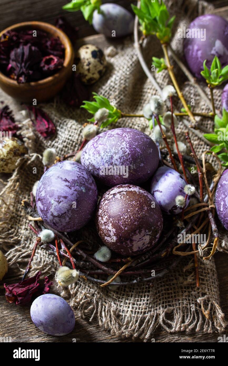 Jaune d'œuf de Pâques violet. Les œufs faits maison sont peints avec un colorant naturel provenant de fleurs d'hibiscus séchées sur une table rustique. Banque D'Images