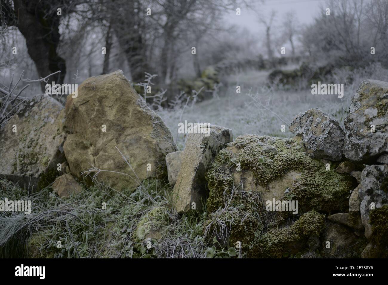Les pâturages fortifiés en pierre du plateau de Mirandese dans un matin d'hiver froid. Banque D'Images