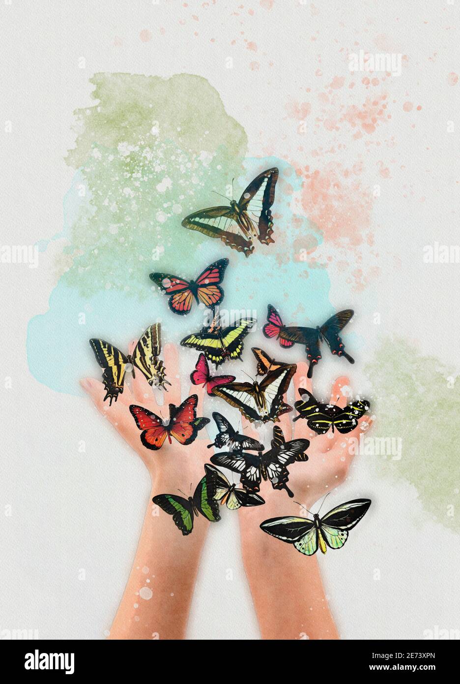 Mains libérant des papillons, illustration Banque D'Images