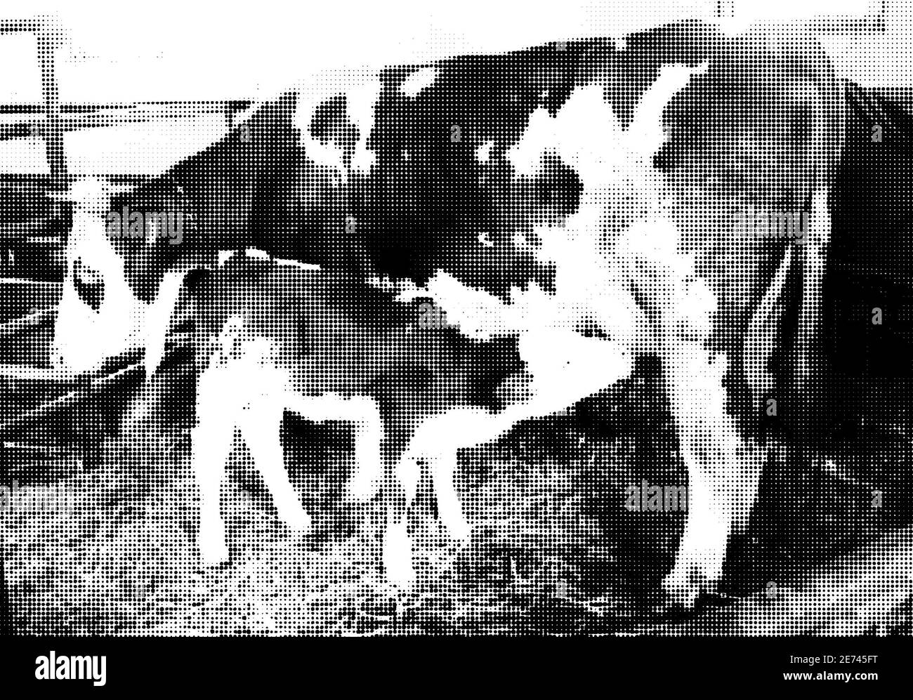 Vache et veau sur la ferme. Banque D'Images