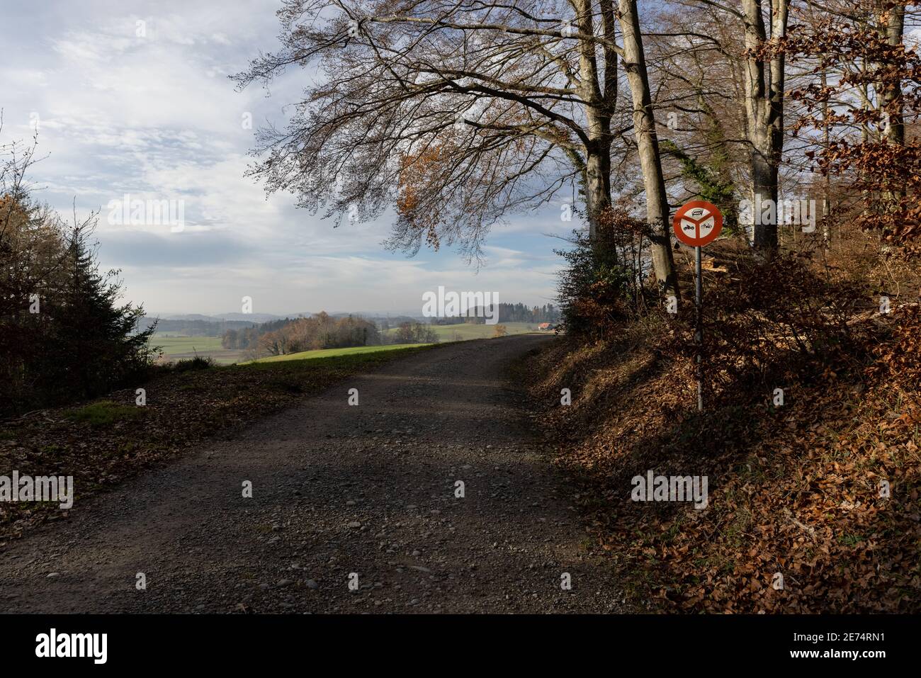 la nature doit être protégée du bruit et de la pollution, de la route forestière sans signe de conduite, du passage interdit pour les voitures et les motos, du ciel bleu nuageux, dans le th Banque D'Images