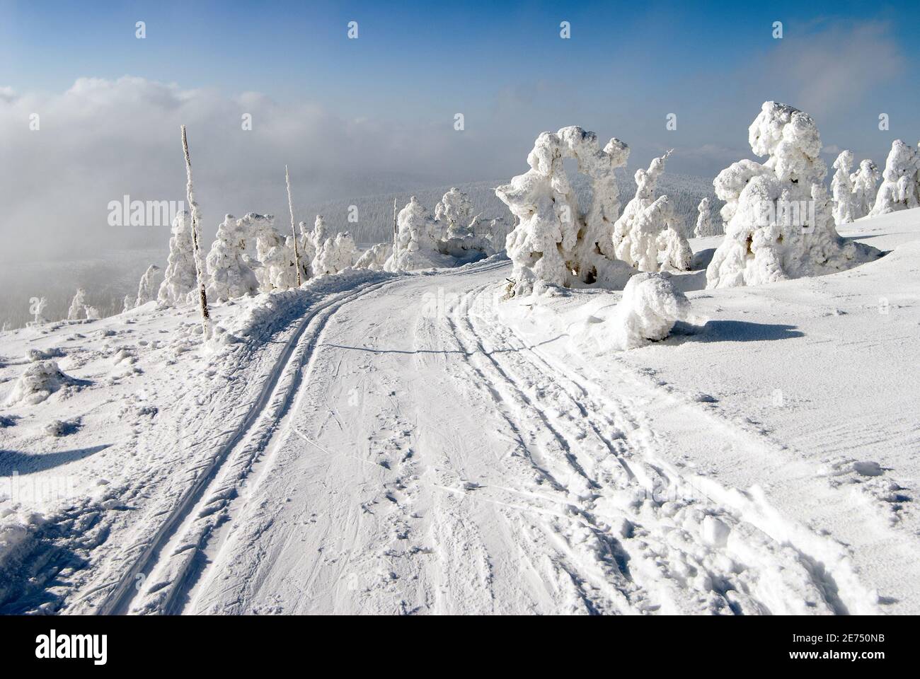Wintry landscape paysage avec modification du ski de façon Banque D'Images