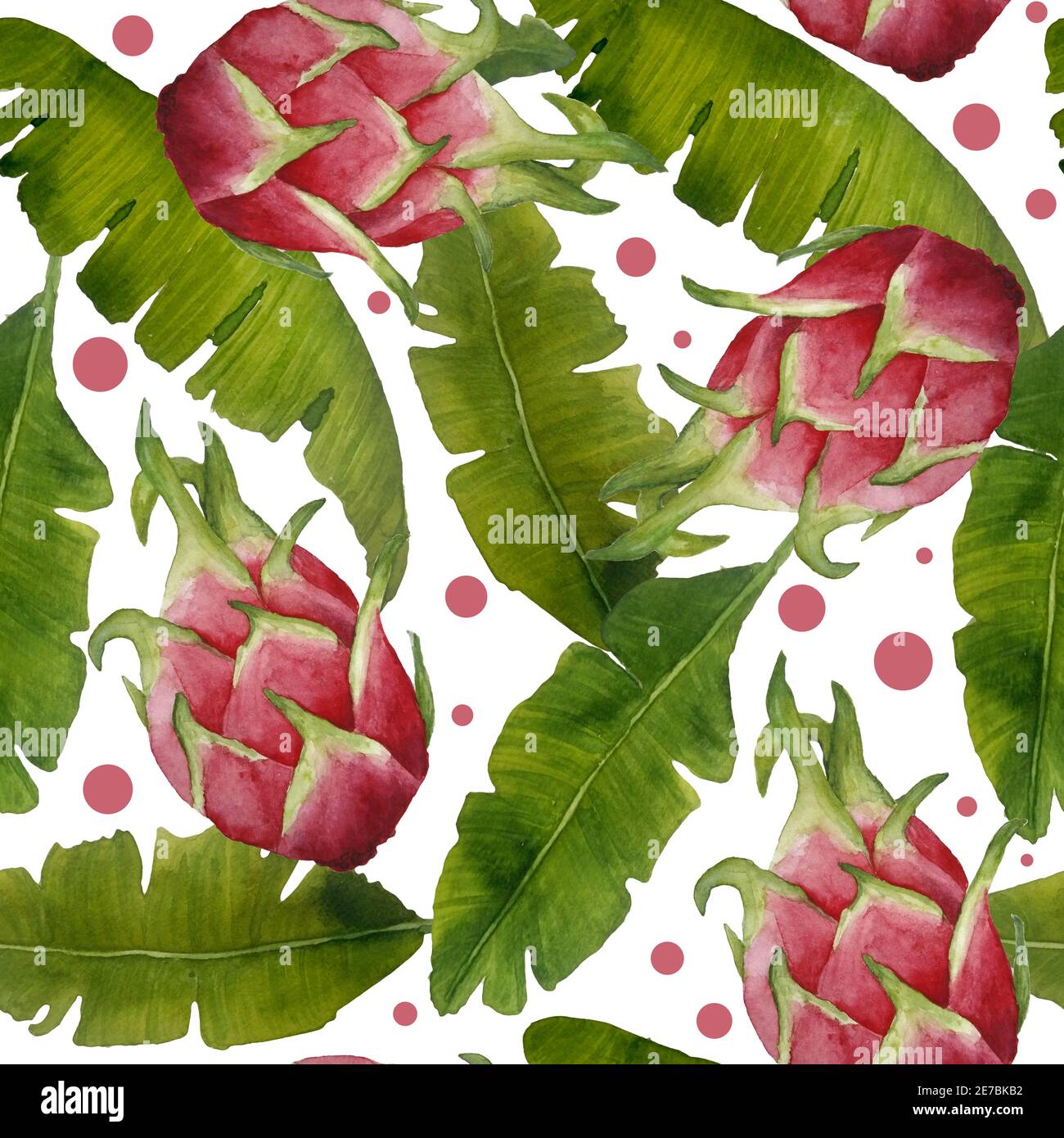 aquarelle sans couture motif banane feuilles dagon fruit pitaya pitahaya. Feuilles vertes végétation tropicale luxuriante feuillage exotique délicat verdure éléments isolés pour la composition design naturel bio tendance Banque D'Images