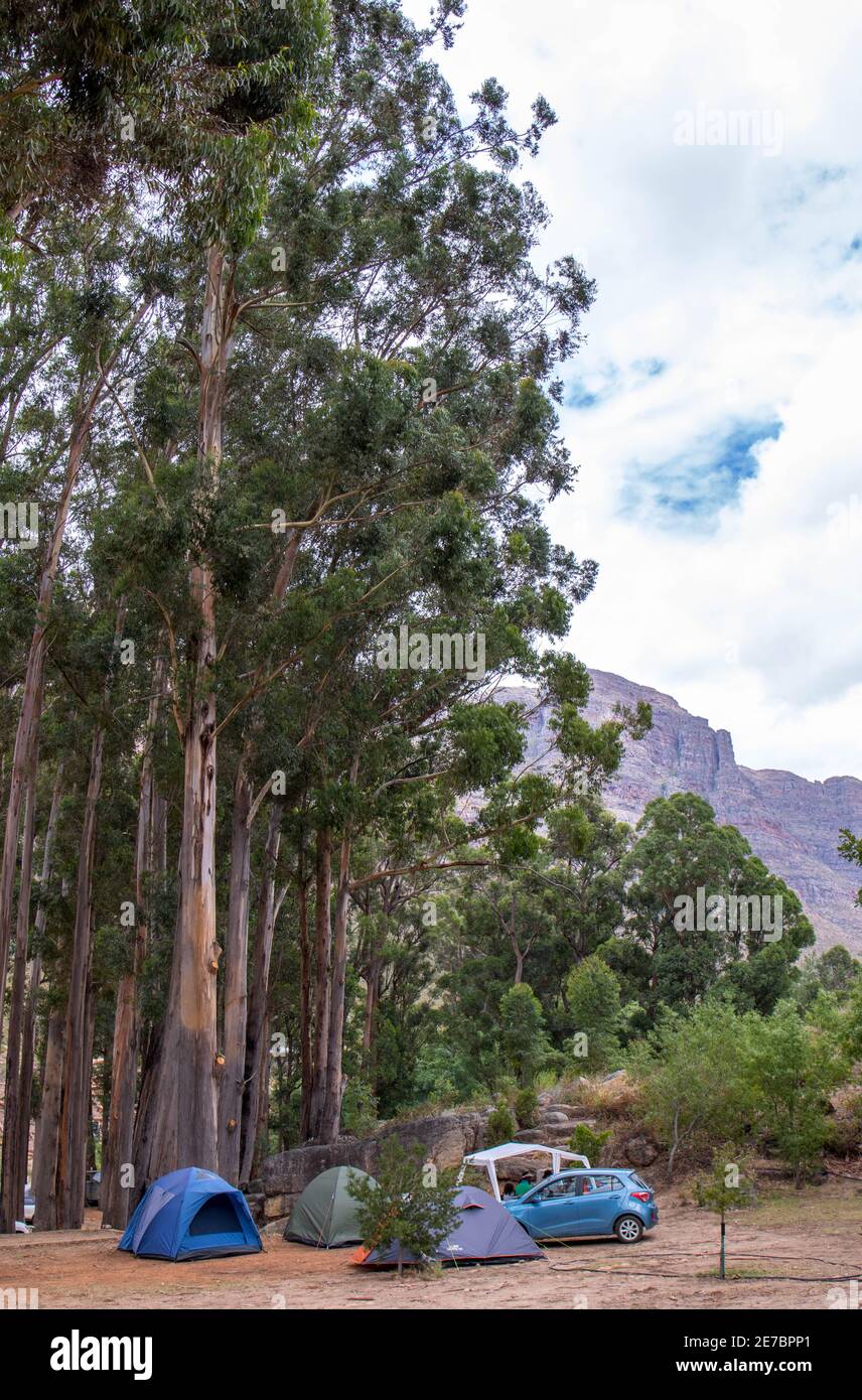 Algérie Wilderness Area, Afrique du Sud - le camping est un sécessionniste familial très populaire en Afrique du Sud Banque D'Images