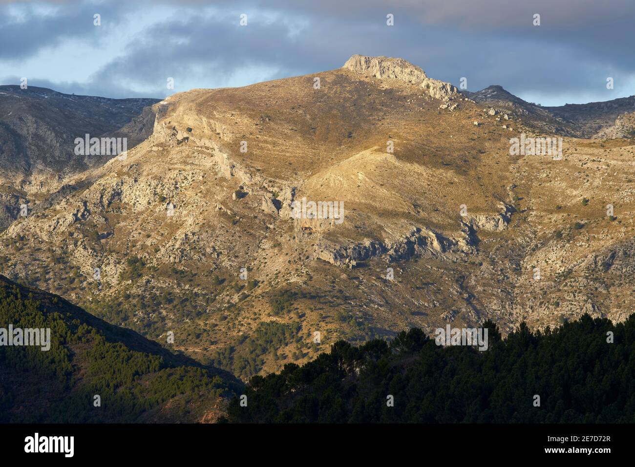 Le sommet ou la colline de la Alcazaba dans le parc national de la Sierra de las Nieves à Malaga. Andalousie, Espagne Banque D'Images