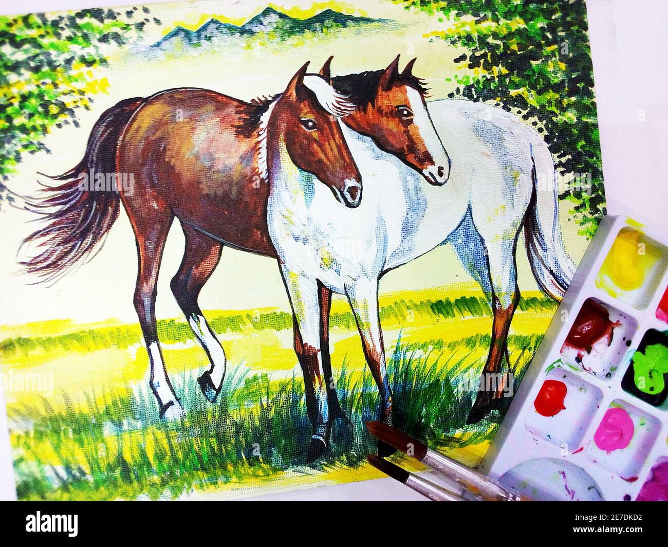 Cheval dessin couleur Banque de photographies et d’images à haute