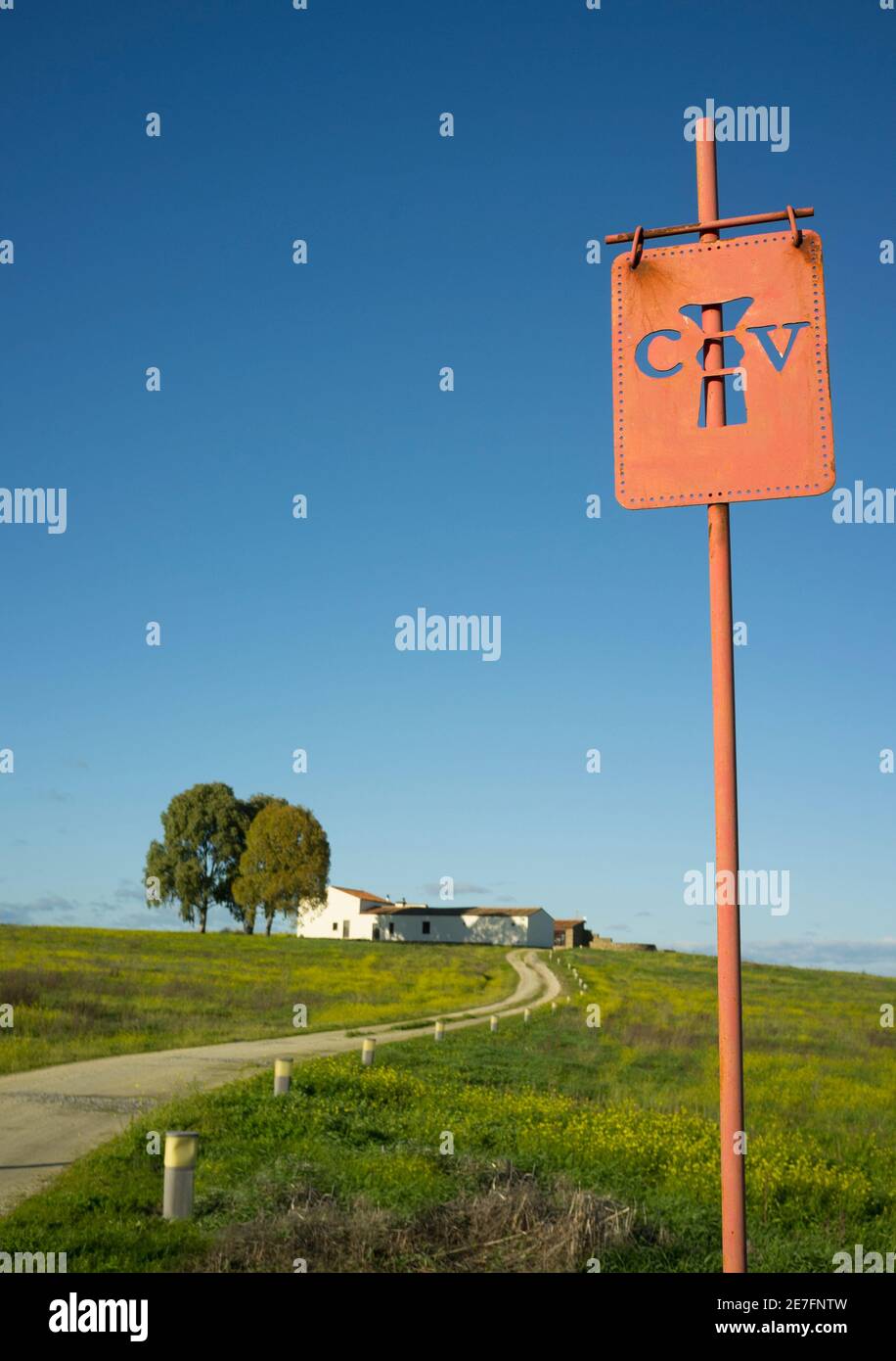 Vexillum, norme militaire utilisée par l'ancienne armée romaine. Camp romain de Caceres el Viejo, Extremadura, Espagne Banque D'Images Vexillum, norme militaire utilisée par l'ancienne armée romaine. Camp romain de Caceres el Viejo, Extremadura, Espagne Banque D'Images