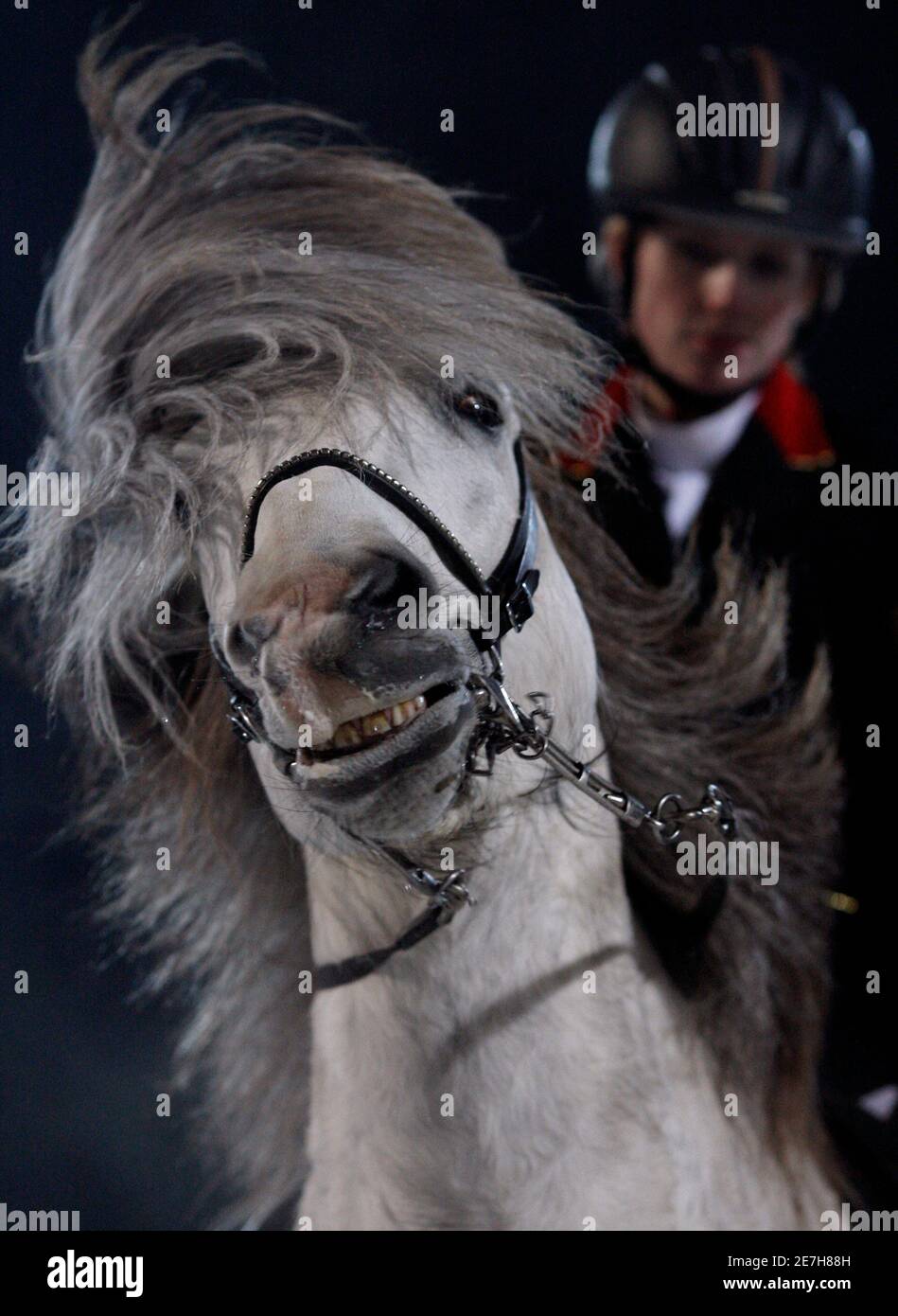 Icehorse Banque de photographies et d’images à haute résolution Alamy