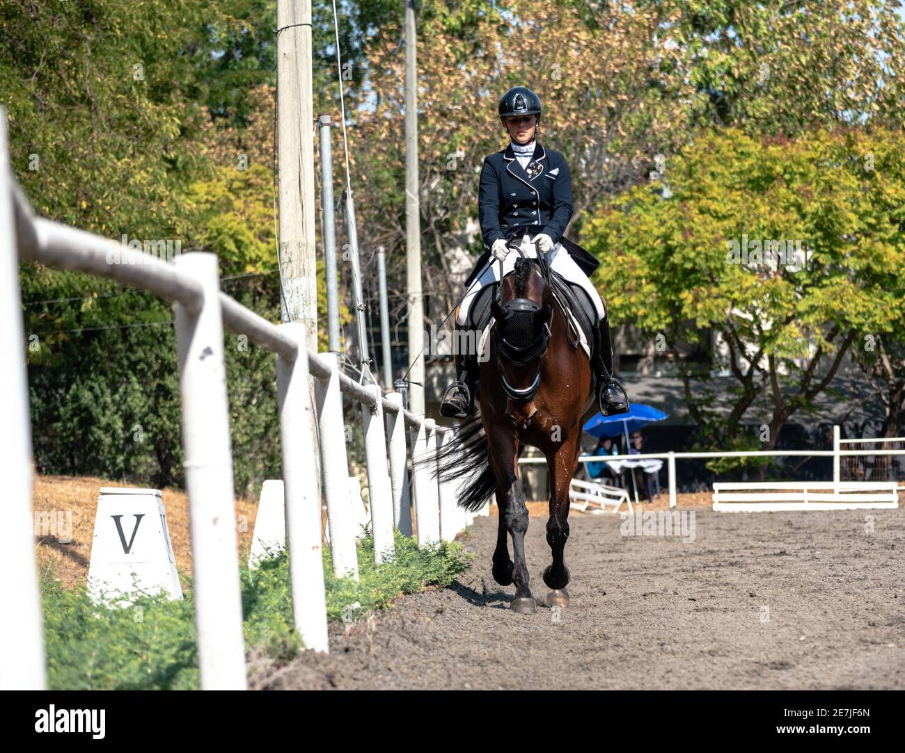 Concours de dressage octobre 2019 Israël Banque D'Images