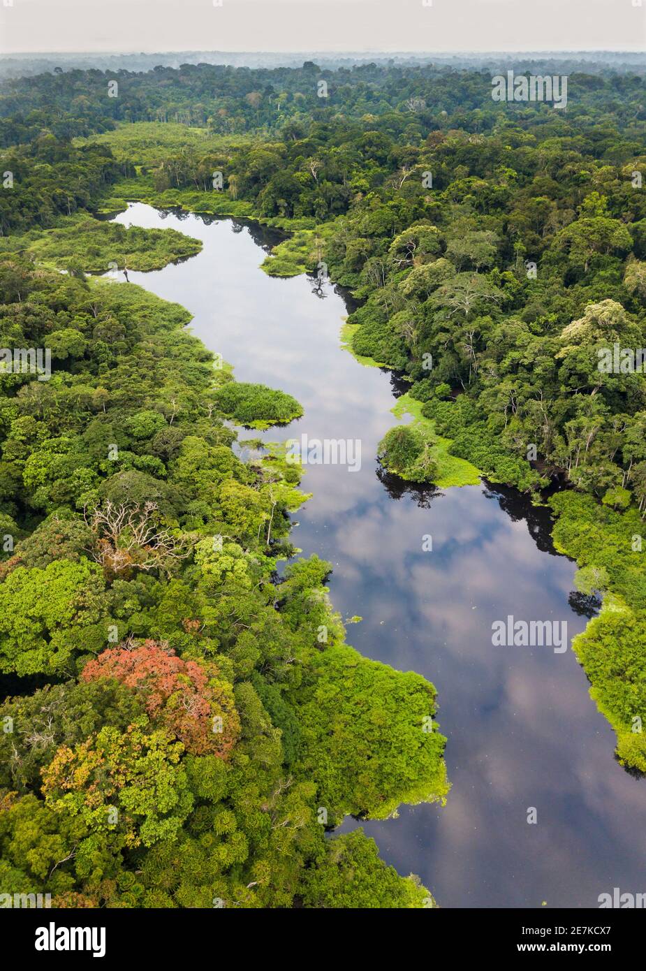Vue aérienne de la forêt tropicale et de la rivière du bassin du Congo, Akaka, parc national de Loango, Gabon. Banque D'Images