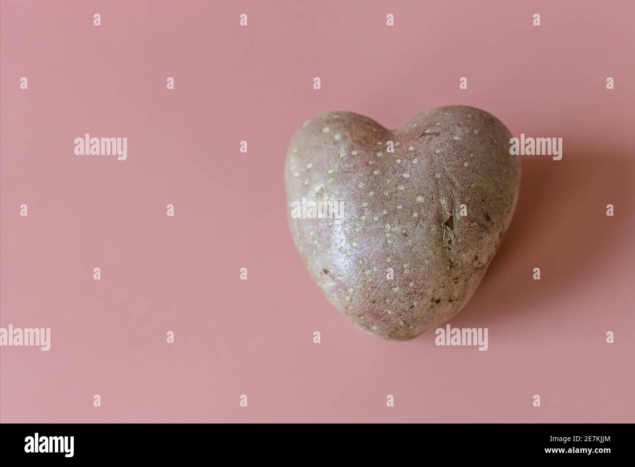 Aliments génétiquement modifiés, pommes de terre en forme de cœur sur fond rose. Produits de l'agriculture moderne et du génie génétique Banque D'Images