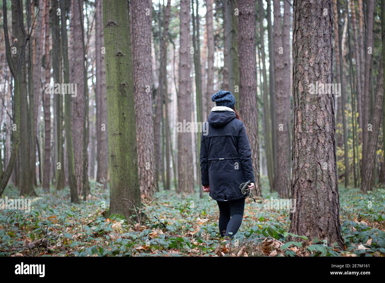 Portrait d'une jeune fille dans un manteau qui marche à travers les bois et essaie de dégager sa tête des réseaux sociaux et du travail. Le voyageur marche à travers t Banque D'Images