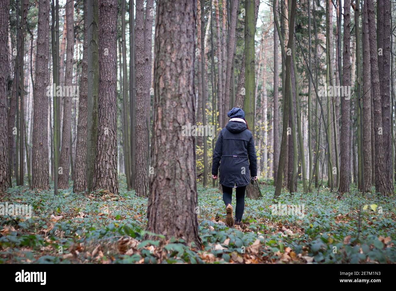 Portrait d'une jeune fille dans un manteau qui marche à travers les bois et essaie de dégager sa tête des réseaux sociaux et du travail. Le voyageur marche à travers t Banque D'Images