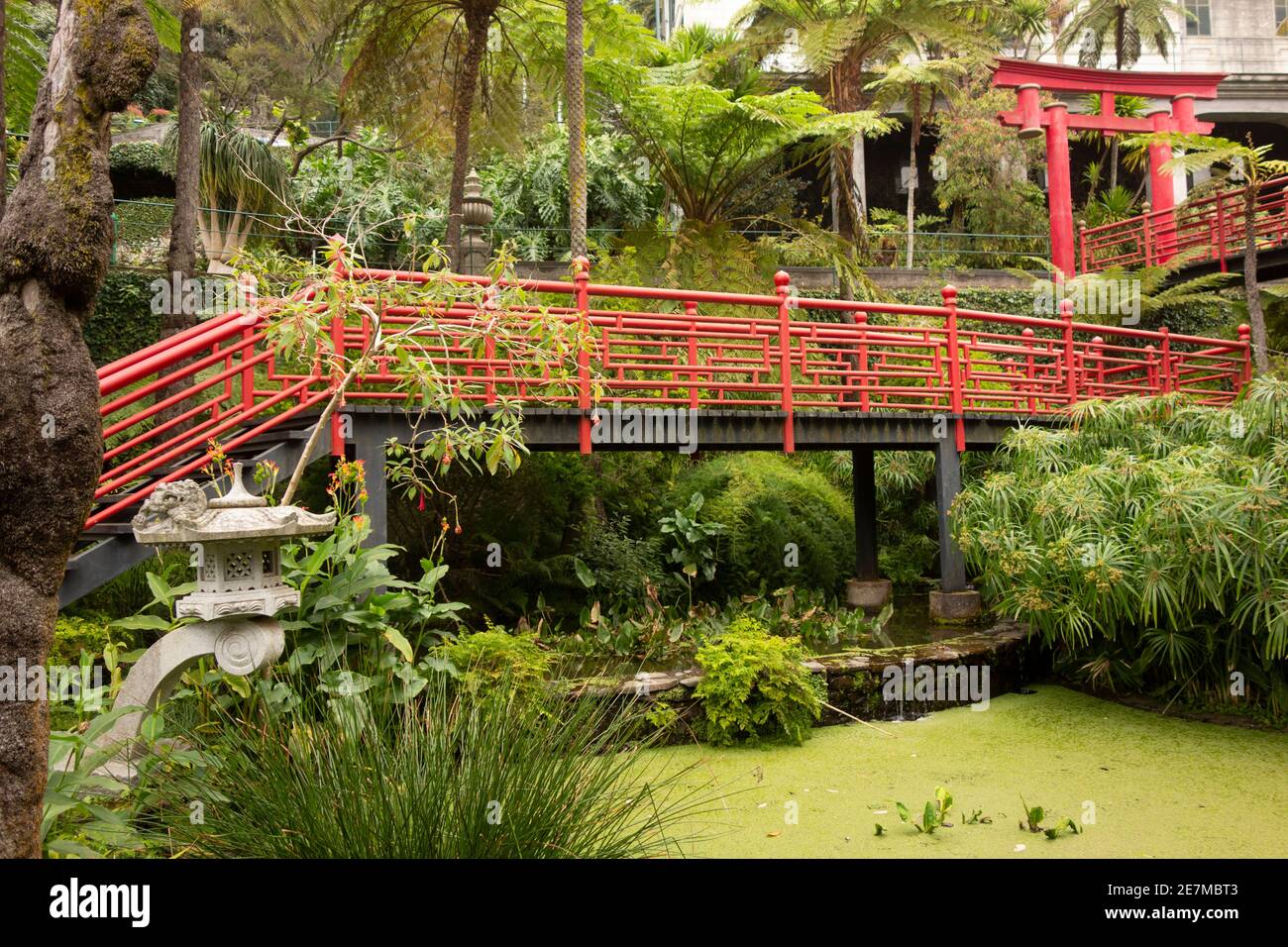 passerelle surélevée avec rampes rouges au-dessus de l'étang dans le Jardin oriental du sud dans le jardin tropical du Monte Palace Banque D'Images