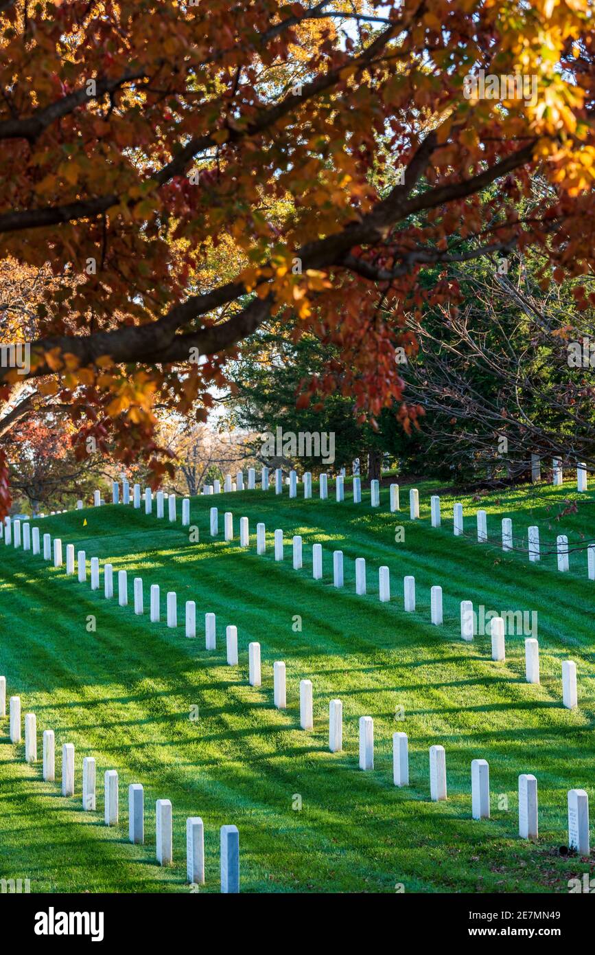 Les érables rouges, orange et or ajoutent la couleur de l'automne aux rangées soignées de marqueurs de tombe du cimetière national d'Arlington, à Arlington, en Virginie. Banque D'Images