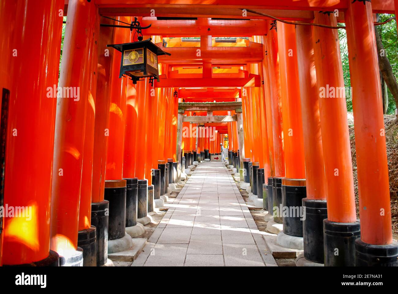 Sanctuaire Fushimi Inari, Kyoto, Japon Banque D'Images