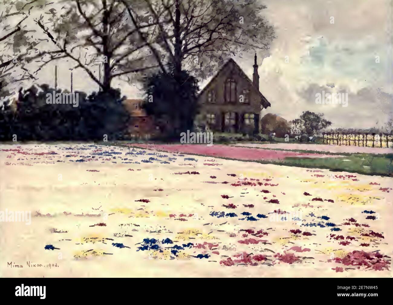 Œuvre d'art vintage de Mimi Nixon intitulée hyacinths dispersés sur le Masse Banque D'Images