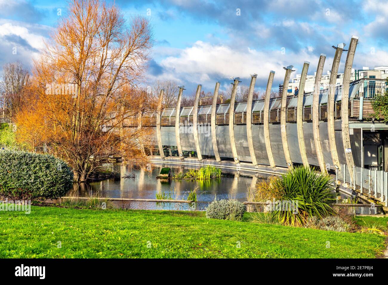 Eau et plantes au pavillon Ecology à Mile End Park, Londres, Royaume-Uni Banque D'Images