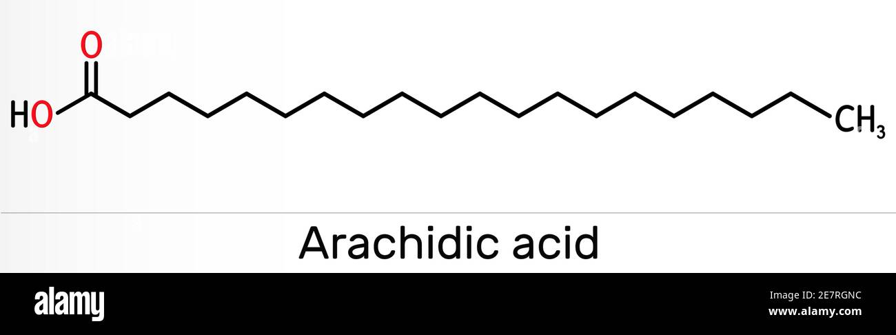 Acide arachidique, molécule d'acide eicosanoïque, icosanoïque. Il est  saturé d'acide gras à longue chaîne. Formule chimique du squelette.  Illustration Photo Stock - Alamy