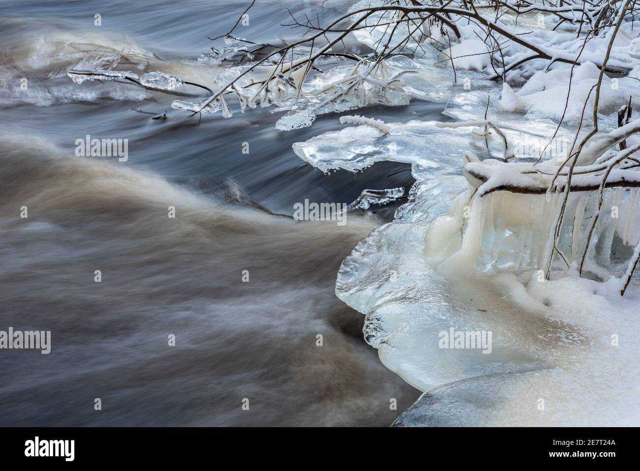 La rivière qui rencontre les branches d'arbres pendant un hiver froid jour et forme de belles formations de glace Banque D'Images