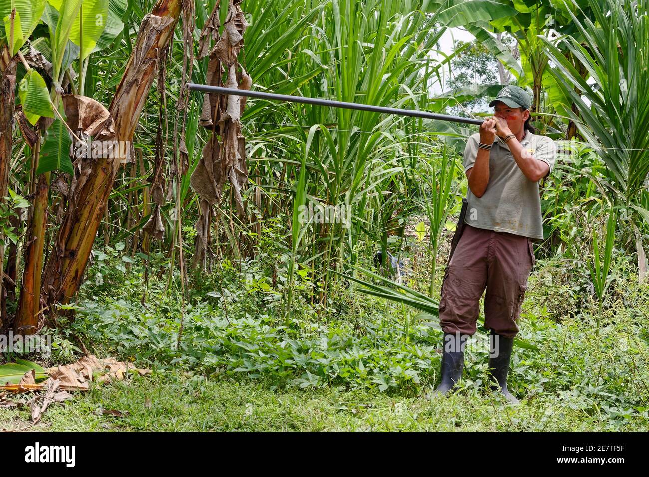 Homme utilisant un pistolet à air; indigène, chasse; compétence; arme longue, bottes en caoutchouc, Amérique du Sud, forêt tropicale d'Amazone, Equateur, MR Banque D'Images